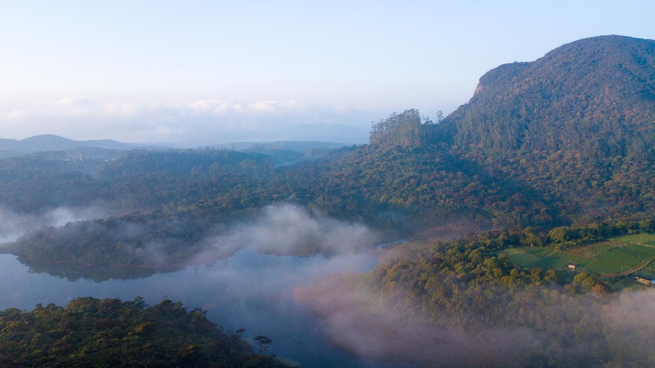 The Forest And Lake By Schofieldshire Nuwara Eliya Ngoại thất bức ảnh